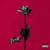 Idfc - Blackbear