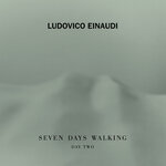 Обложка трека Einaudi: Golden Butterflies Var. 1