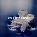 Обложка трека Relaxing Music, Sleeping Music, Meditation Music, Calm Music, Peaceful Music