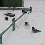 Обложка трека Гоп стоп донт стоп