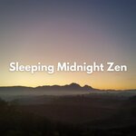 Обложка трека Late Midnight