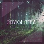 Обложка трека Горный ручей