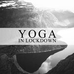 Обложка трека Yoga in the Wild