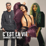 Обложка трека C'est la vie
