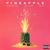 Pineapple - Ty Dolla $ign