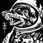 Обложка трека Next Order