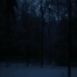 Обложка трека dark snowy night
