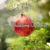 Hark The Herald Angels Sing With Violin - Christmas Hits Collective