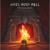Holy Diver - Axel Rudi Pell