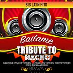 Обложка трека Bailame (Tribute To Nacho)
