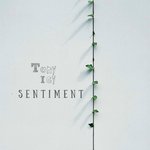 Обложка трека Sentiment