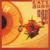 The Kick Inside - Kate Bush
