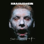 Обложка трека Rammstein Du Hast (cover by RADIO TAPOK на русском)