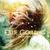 Human - Ellie Goulding