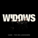 Обложка трека The Big Unknown