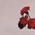 Dreams - John Legend