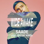 Обложка трека Wide Awake