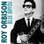No One Will Ever Know - Roy Orbison