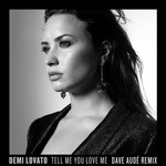 Обложка трека Tell Me You Love Me