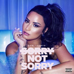 Обложка трека Sorry Not Sorry
