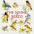 The Sound Of Birds Non-Stop Mix - Nature Sounds