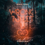 Обложка трека Wrong to Let U Go