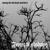 Lullaby - Forest of Shadows