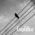 Sin Rumbo - The CredenBeat