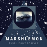 Обложка трека Drive Forever