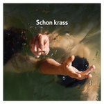 Обложка трека Schon krass