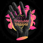 Обложка трека Пряными травами