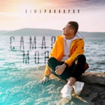 Обложка трека Самая моя (Shnaps Remix)