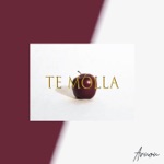 Обложка трека Te Molla (woollfid Remix)