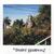 Barely Breathing - Grant Averill