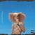 Guatemala - Rae Sremmurd