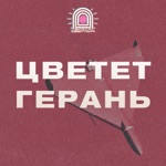 Обложка трека Цветет герань