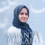 Обложка трека Amantu bilLahi