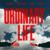 Ordinary Life - Wiz Khalifa