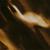 Limbs - Agalloch