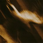 Обложка трека Not Unlike The Waves