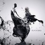 Обложка трека Black Bird