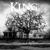 War Outside - King 810