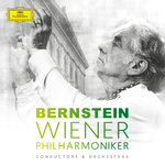 Обложка трека Mahler: Symphony No. 5 in C-Sharp Minor / Pt. 3 - 5. Rondo-Finale (Allegro)