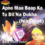 Обложка трека Apne Maa Baap Ka Dil Na Dukha