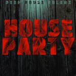 Обложка трека My Rollercoaster House