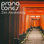 Обложка трека Zen Awakening